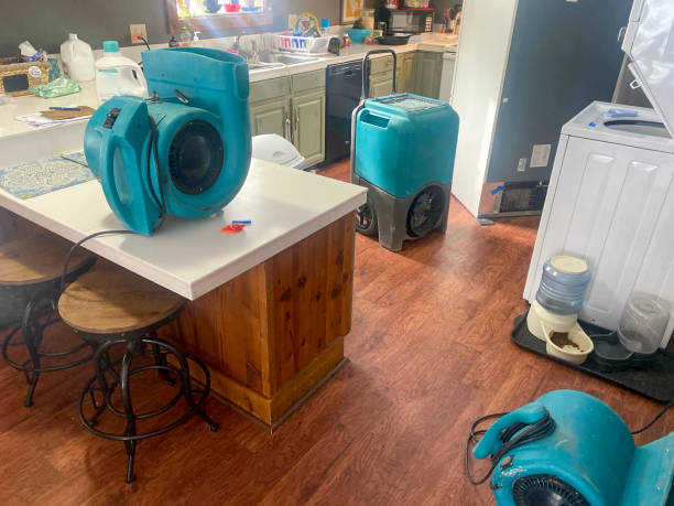 Best 24/7 water damage repair  in Kihei, HI