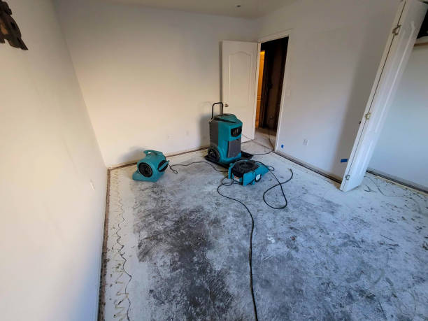 Best Emergency water damage restoration  in Kihei, HI