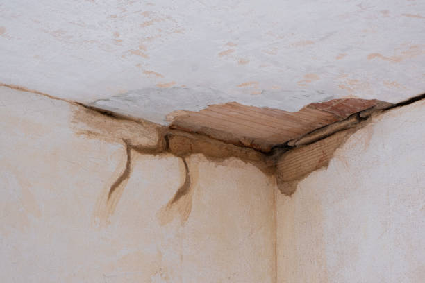 Best Flood restoration services  in Kihei, HI