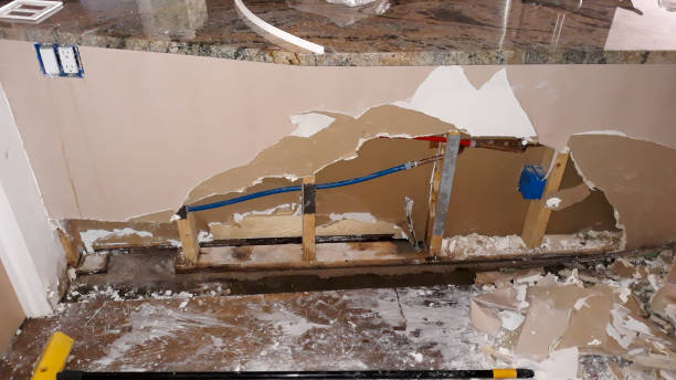 Best Flooded house restoration  in Kihei, HI