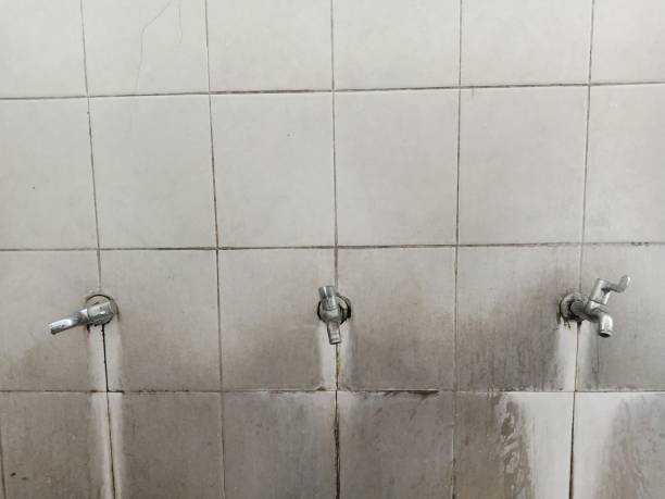 Best 24-hour water damage restoration  in Kihei, HI