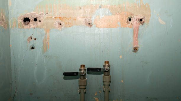 Best Water damage restoration near me  in Kihei, HI