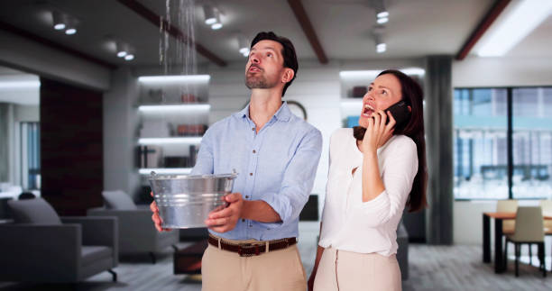 Best Basement water damage restoration  in Kihei, HI
