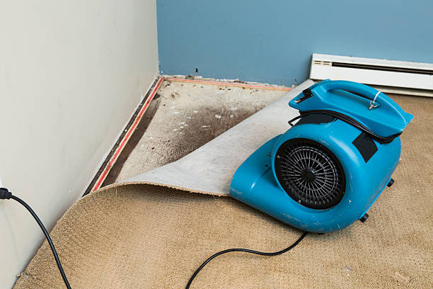 Reliable HI Water damage restoration Solutions